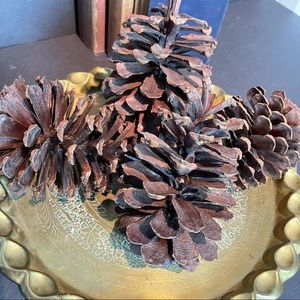 set of 4 large pinecones